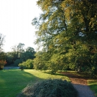 Grounds3